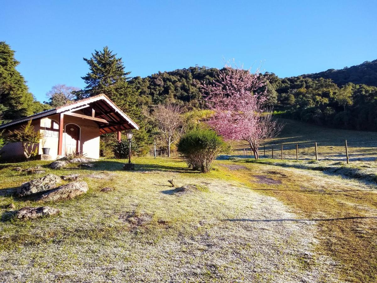 Chales Estrada De Chao Monte Verde  Eksteriør bilde