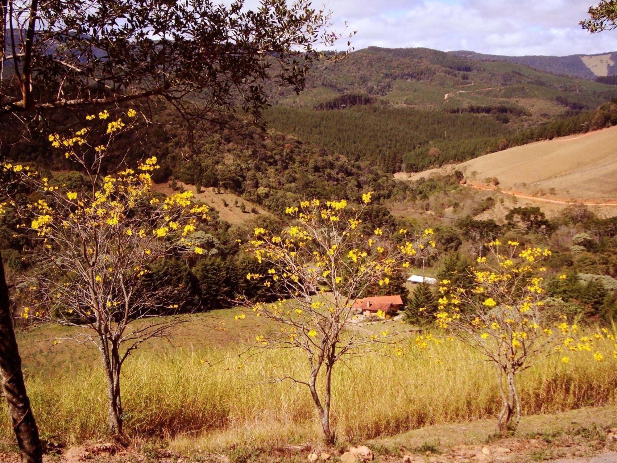 Chales Estrada De Chao Monte Verde  Eksteriør bilde